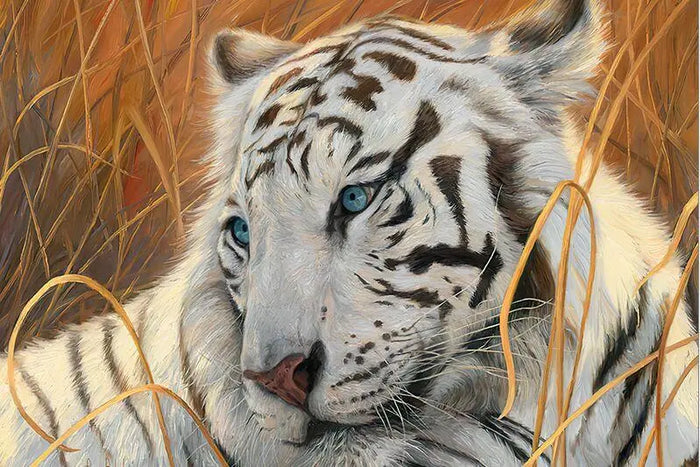 3D ROYALE TIGER PUZZLE Tiger-Universe