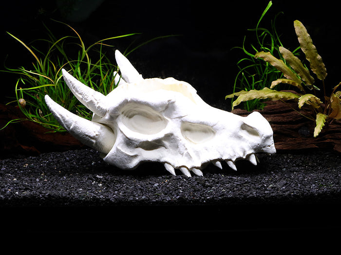 Aquarium Decor & Shrimp Hide Collection – Skull Caves and Sinking Shrimp Ornament