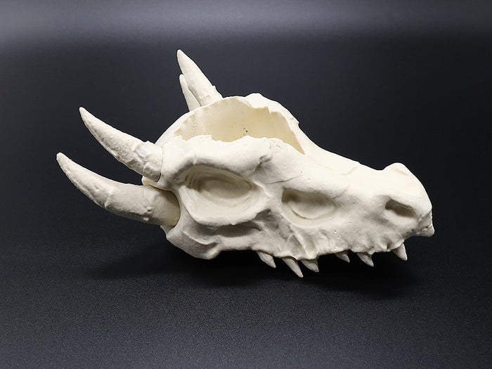 Aquarium Decor & Shrimp Hide Collection – Skull Caves and Sinking Shrimp Ornament