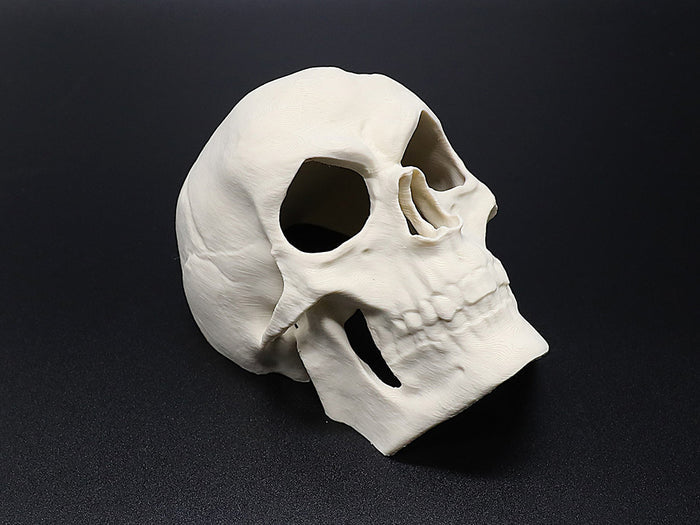 Aquarium Decor & Shrimp Hide Collection – Skull Caves and Sinking Shrimp Ornament