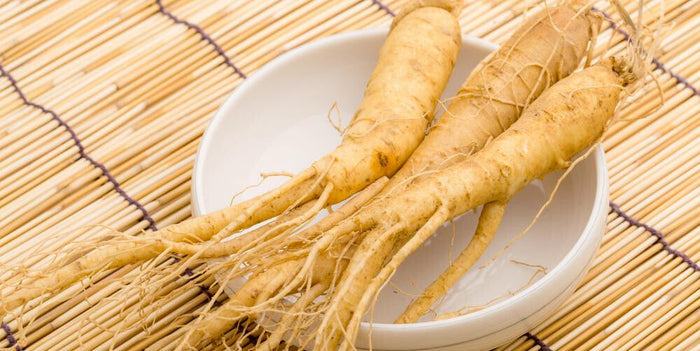 Asian Ginseng  5 Seeds  Panax ginseng
