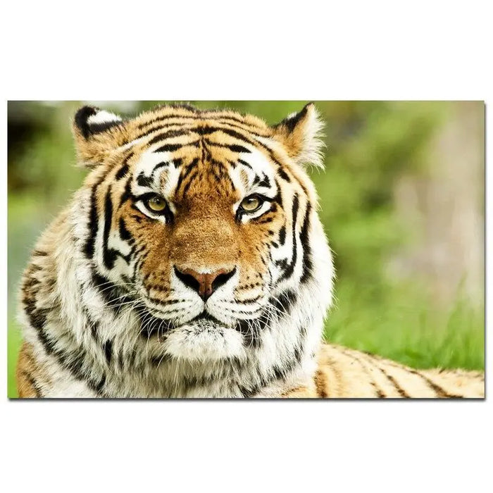 BENGAL TIGER WALL ART Tiger-Universe