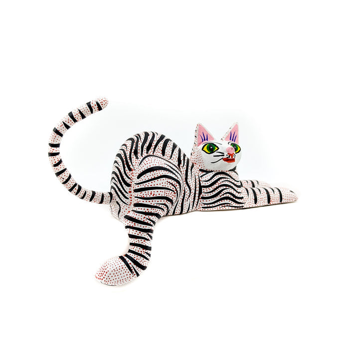 Black and White Striped Cat