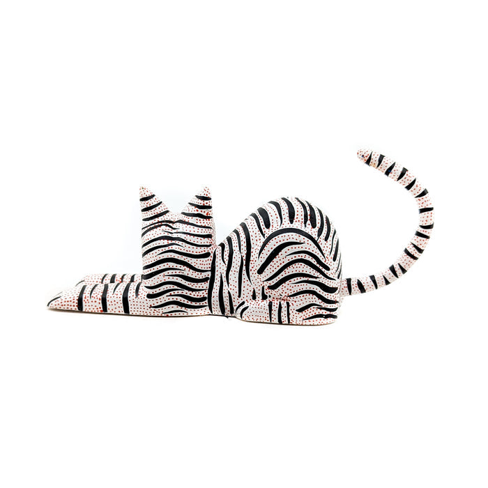 Black and White Striped Cat
