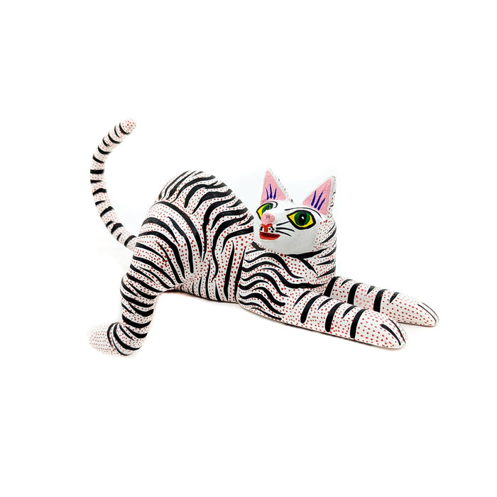 Black and White Striped Cat
