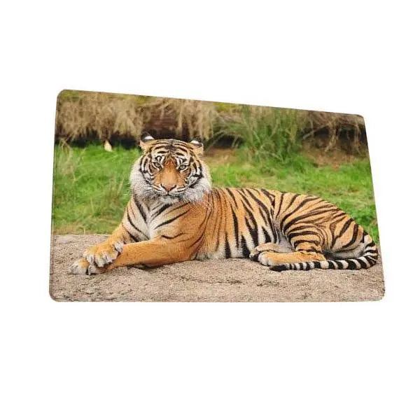 CHINESE TIGER RUG Tiger-Universe