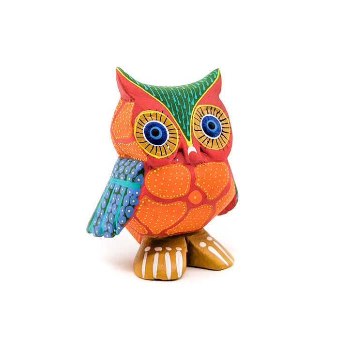 Colorful Owl with Multiple Patterned Print