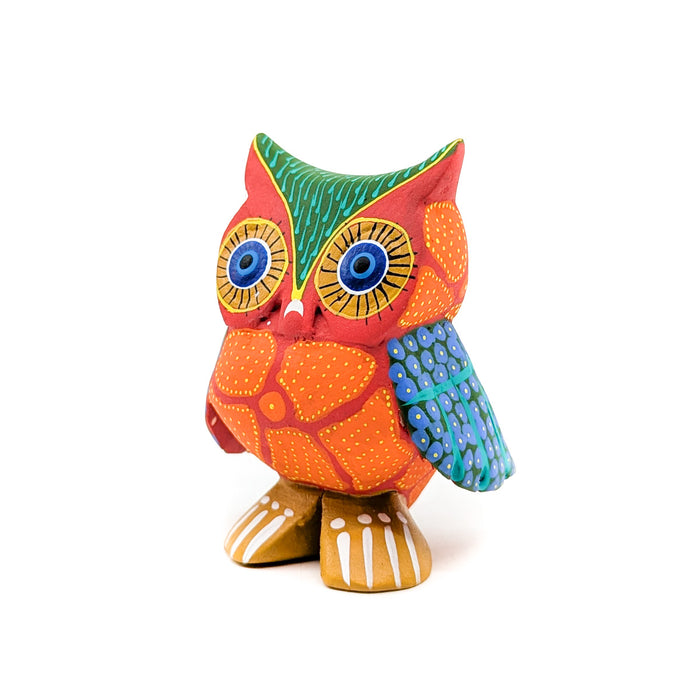 Colorful Owl with Multiple Patterned Print