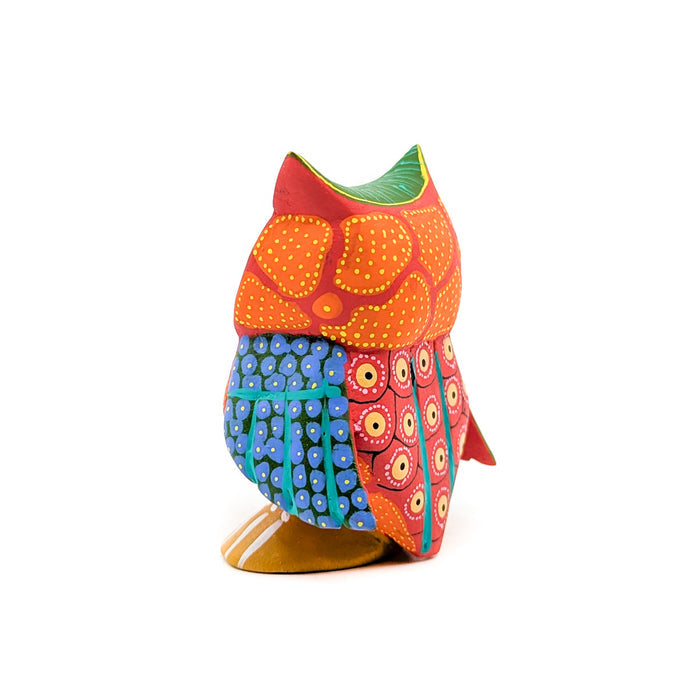 Colorful Owl with Multiple Patterned Print