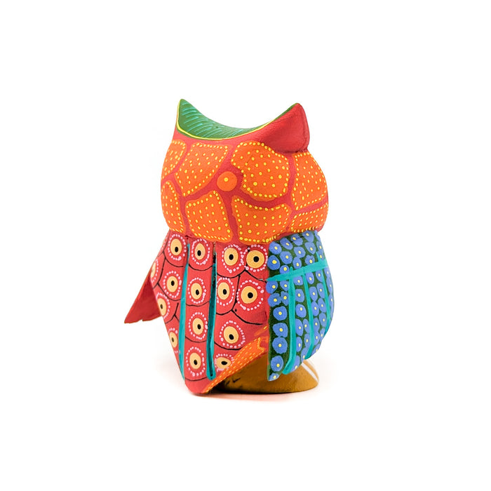 Colorful Owl with Multiple Patterned Print