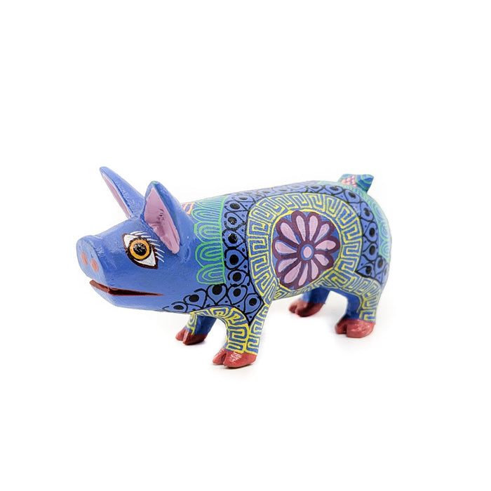 Dazzling Multicolored Little Pig