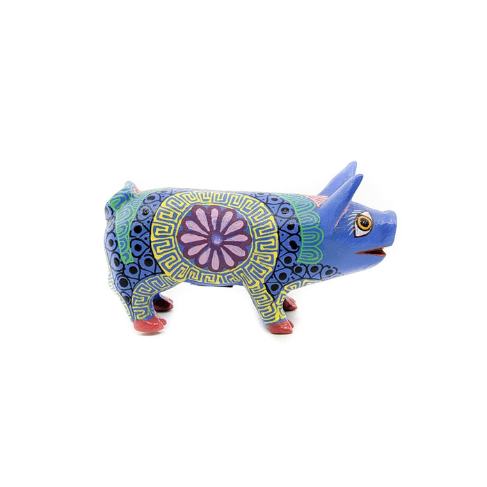 Dazzling Multicolored Little Pig