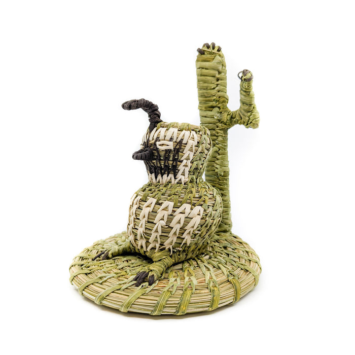 Desert Quail with Saguaro Woven Sculpture by Fred Cruz