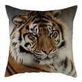 DOMINANT MALE TIGER PILLOW COVER Tiger-Universe
