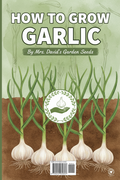 eBook How To Grow Garlic In Texas And Its Health Benefits by Mrs. David's Garden Seeds®