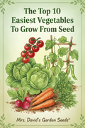 eBook The Top 10 Easiest Vegetables To Grow From Seed by Mrs. David's Garden Seeds®