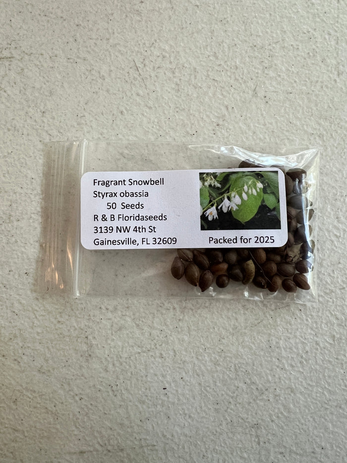 Fragrant Snowbell Styrax obassia 20 Seeds