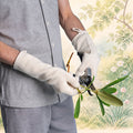 100% organic cotton gardening gloves elastic-free plastic-free