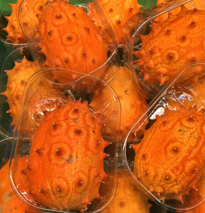 Horned Melon  10 Seeds  Kiwano  Cucumis metuliferus