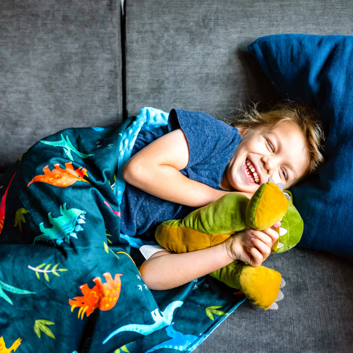 Jurassic Dinosaurs Velour Baby Blanket