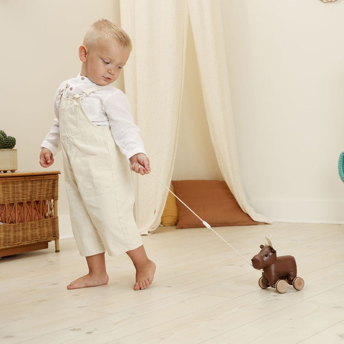 Little Big Friends Pull-Along Soft Toy - Bruce the Moose