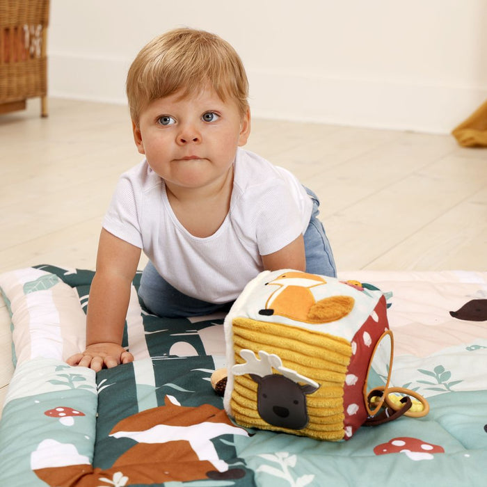 Little Big Friends Soft Activity Cube - Forest