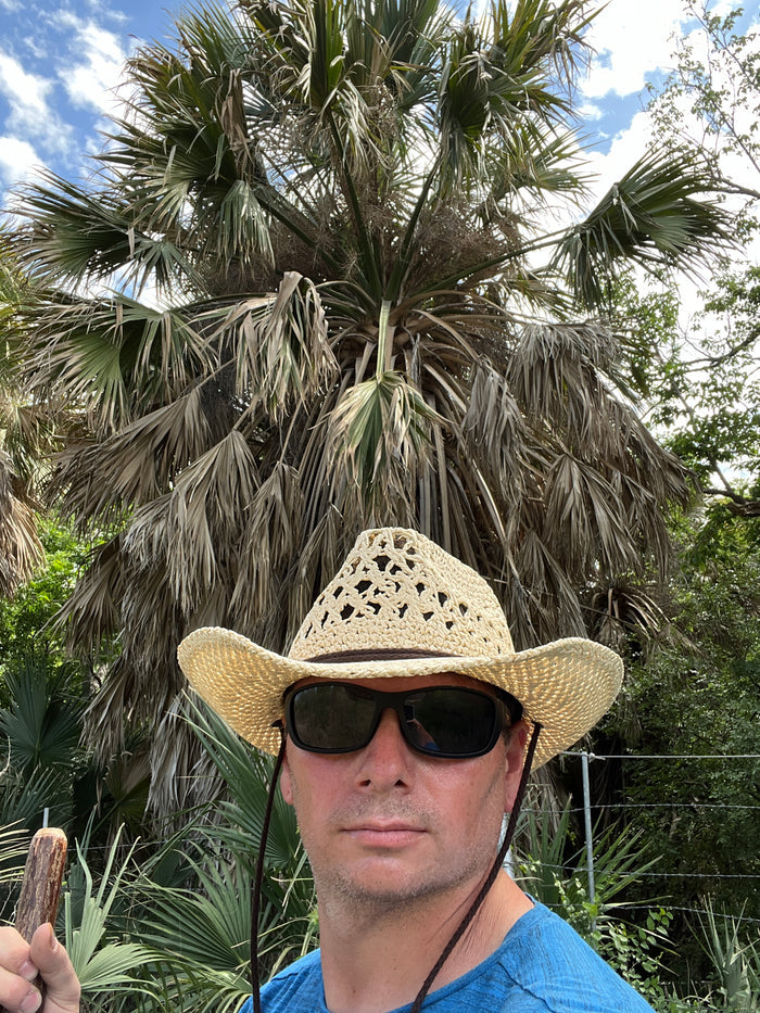 Mexican Palmetto  5 Seeds  Sabal mexicana