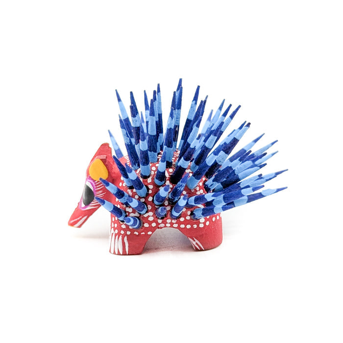 Mini Porcupine Blue Quills and Red Body