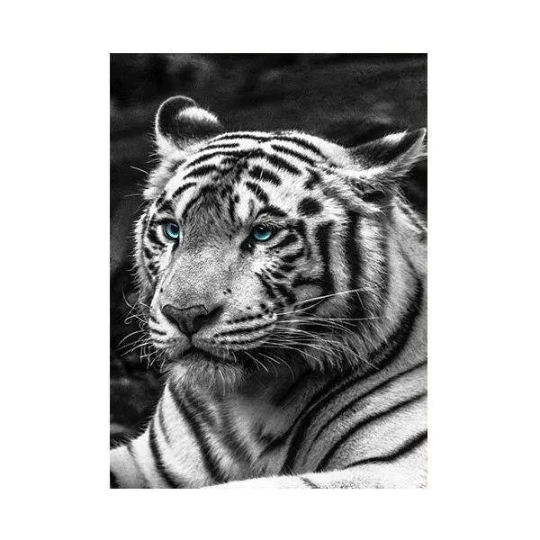 PAINTING WHITE TIGER BLUE EYES Tiger-Universe