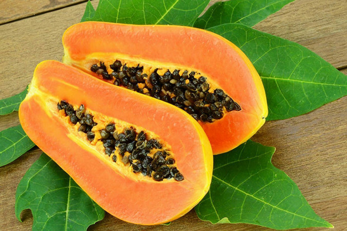 Papaya   100 Seeds   Carica papaya
