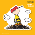 Peanuts® Waterproof Sticker - Pitcher Charlie Brown