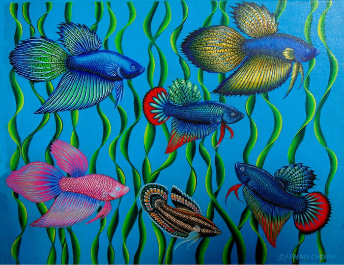 Print of a Painting of a Group of Siamese Fighting Fish