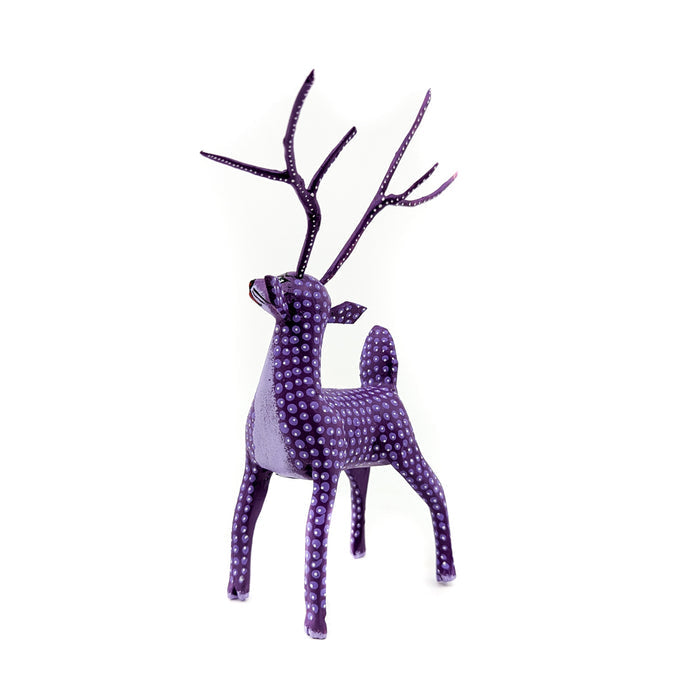 Purple Dainty Deer