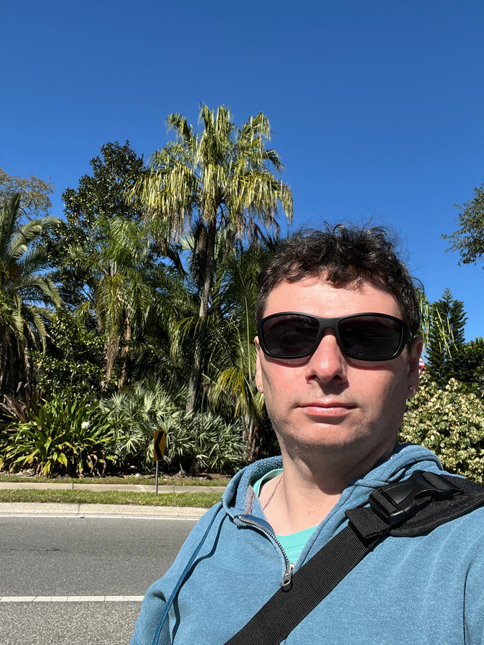 Ribbon Fan Palm  5 Seeds  Livistona decipiens