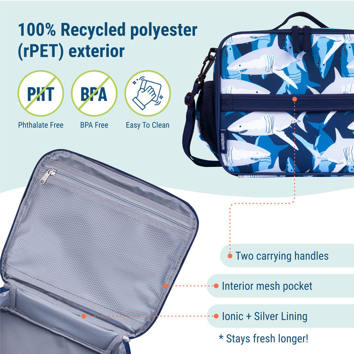 Sharks ECO Lunch Box