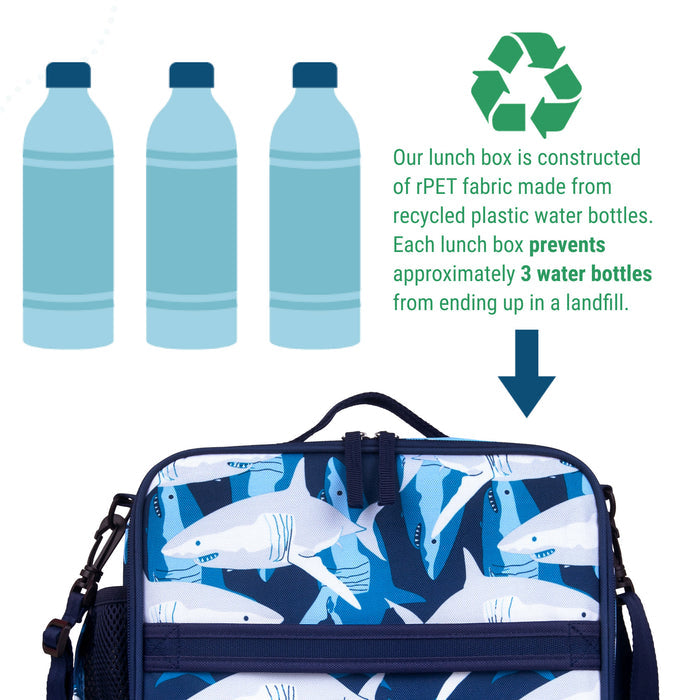 Sharks ECO Lunch Box