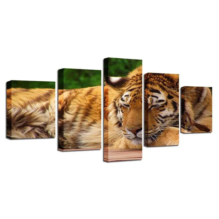 SLEEPING TIGER PAINTING Tiger-Universe