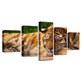 SLEEPING TIGER PAINTING Tiger-Universe