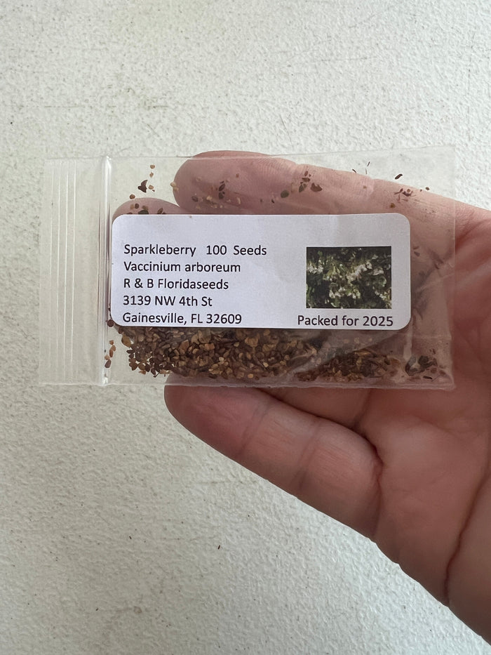 Sparkleberry Vaccinium arboreum 100 Seeds
