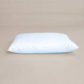 plastic-free certified organic wool pillow