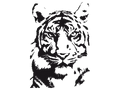 WHITE PRIDE TIGER STICKER Tiger-Universe