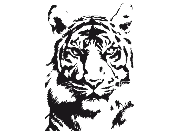 WHITE PRIDE TIGER STICKER Tiger-Universe