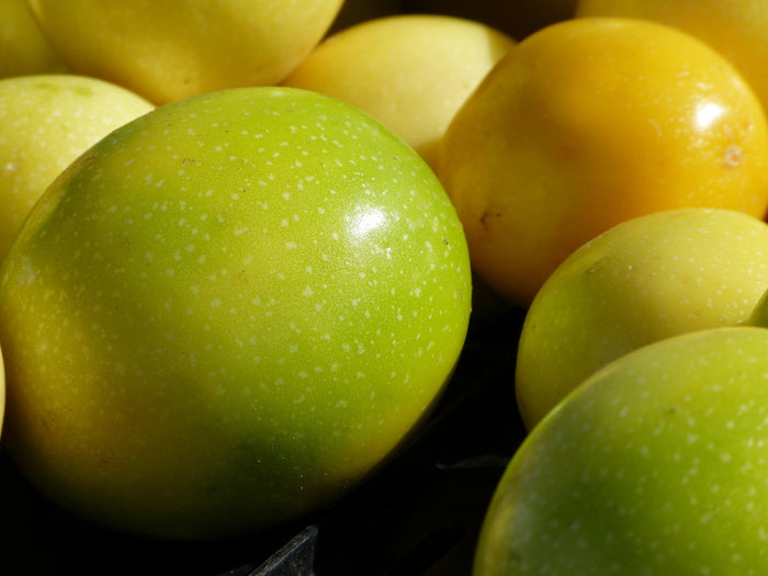 Yellow Passion Fruit   20 Seeds   Granadilla Passiflora edulis