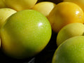 Yellow Passion Fruit   20 Seeds   Granadilla Passiflora edulis