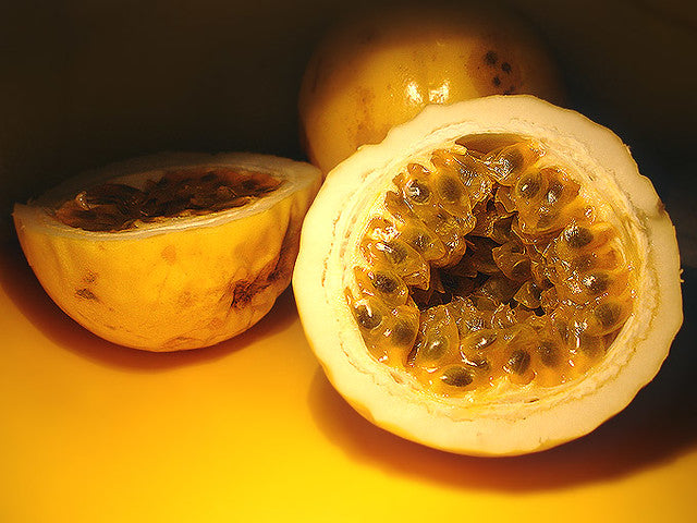 Yellow Passion Fruit   20 Seeds   Granadilla Passiflora edulis