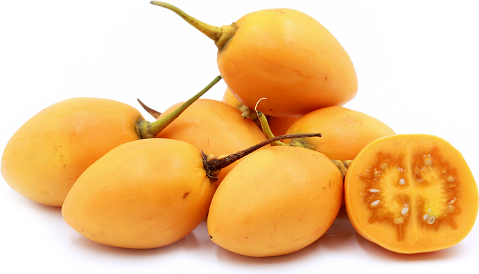 Yellow Tamarillo   10 Seeds   Tree Tomato   Cyphomandra betacea